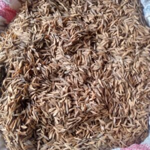 Buy Strophanthus gratus seed